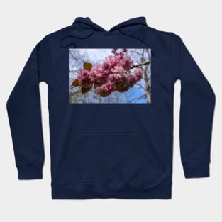 Spring blossom. Hoodie